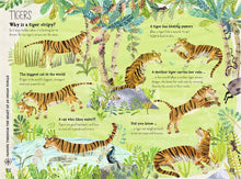 Load image into Gallery viewer, The Big Book of Beasts by Yuval Zommer
