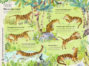 The Big Book of Beasts by Yuval Zommer