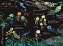 Load image into Gallery viewer, The Big Book of the Blue by Yuval Zommer